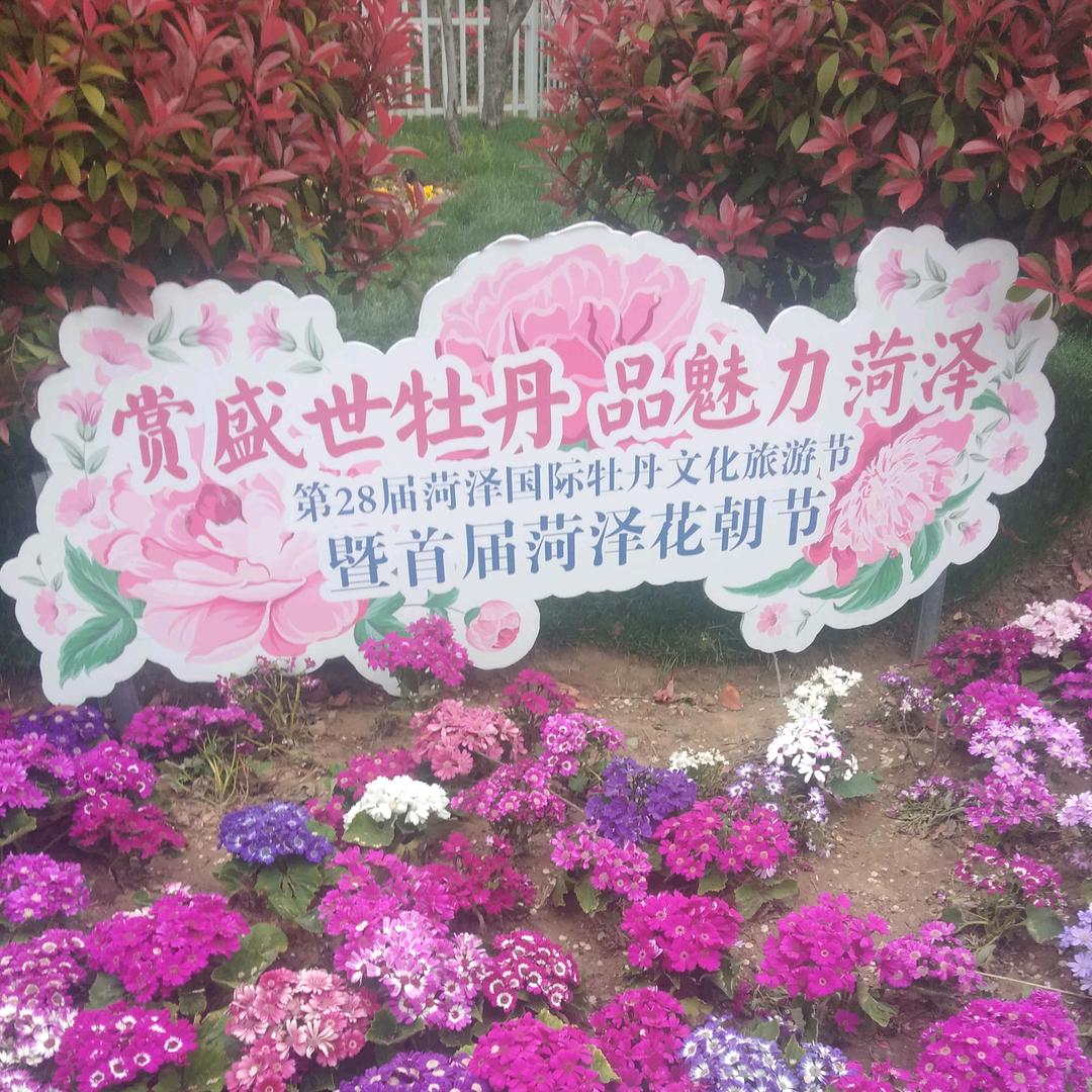 冬日阳光☀