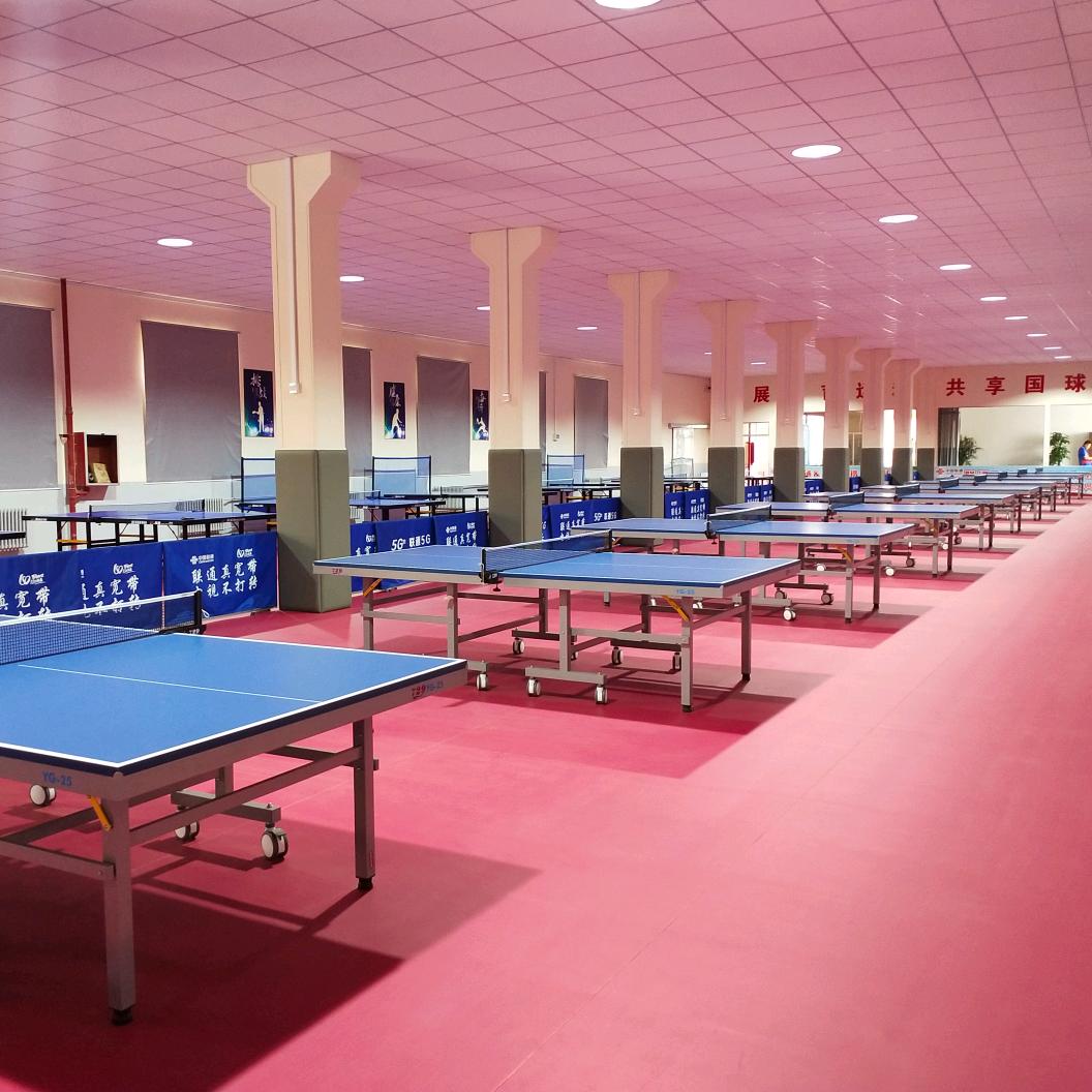 莱州启扬乒乓