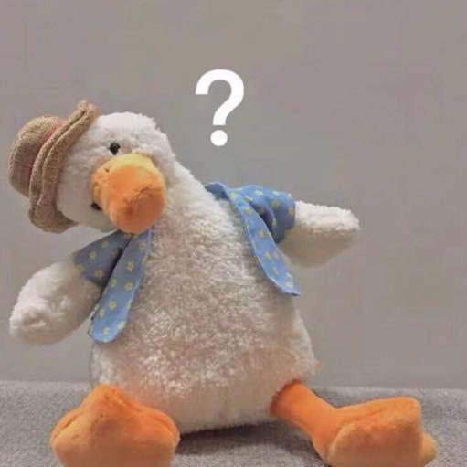 小雪不喝碳酸（赶海失败版）