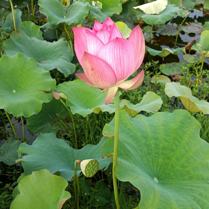 小城相遇