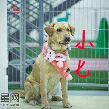 哥的世界你不懂1号(手机摄影)