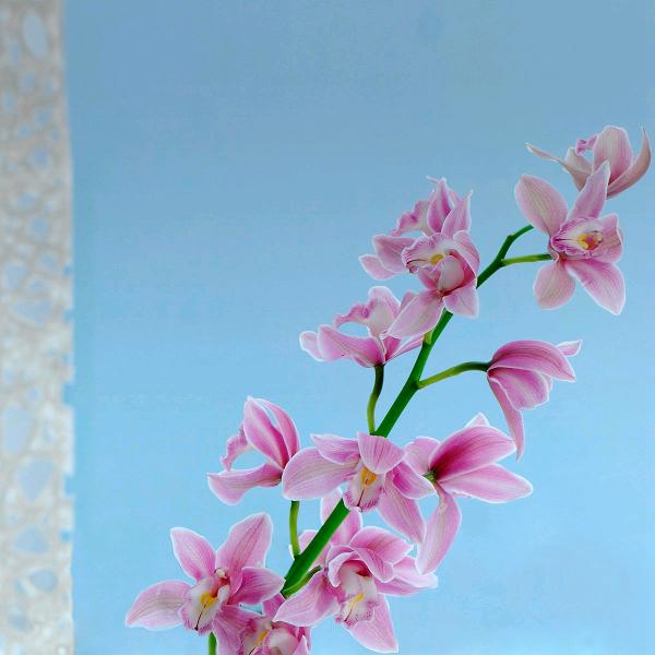 陈大姐就是爱唱两句