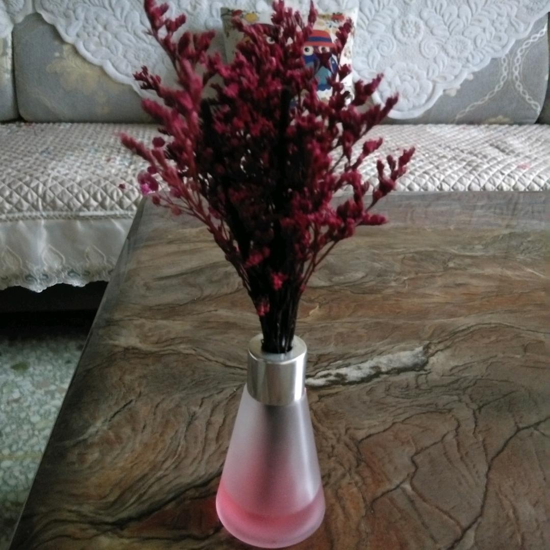 咖啡不苦（分享好物）