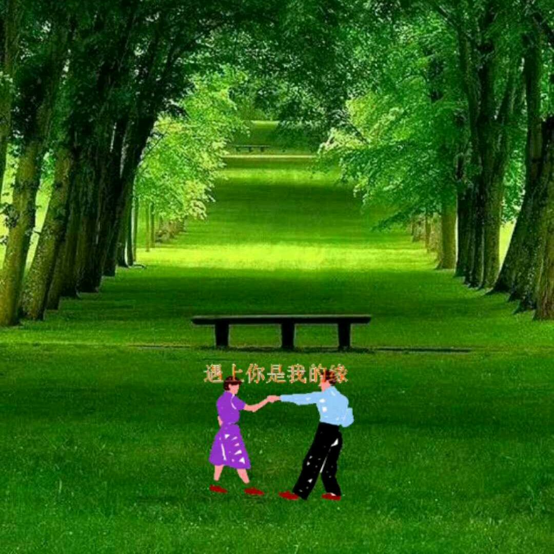 丁丁