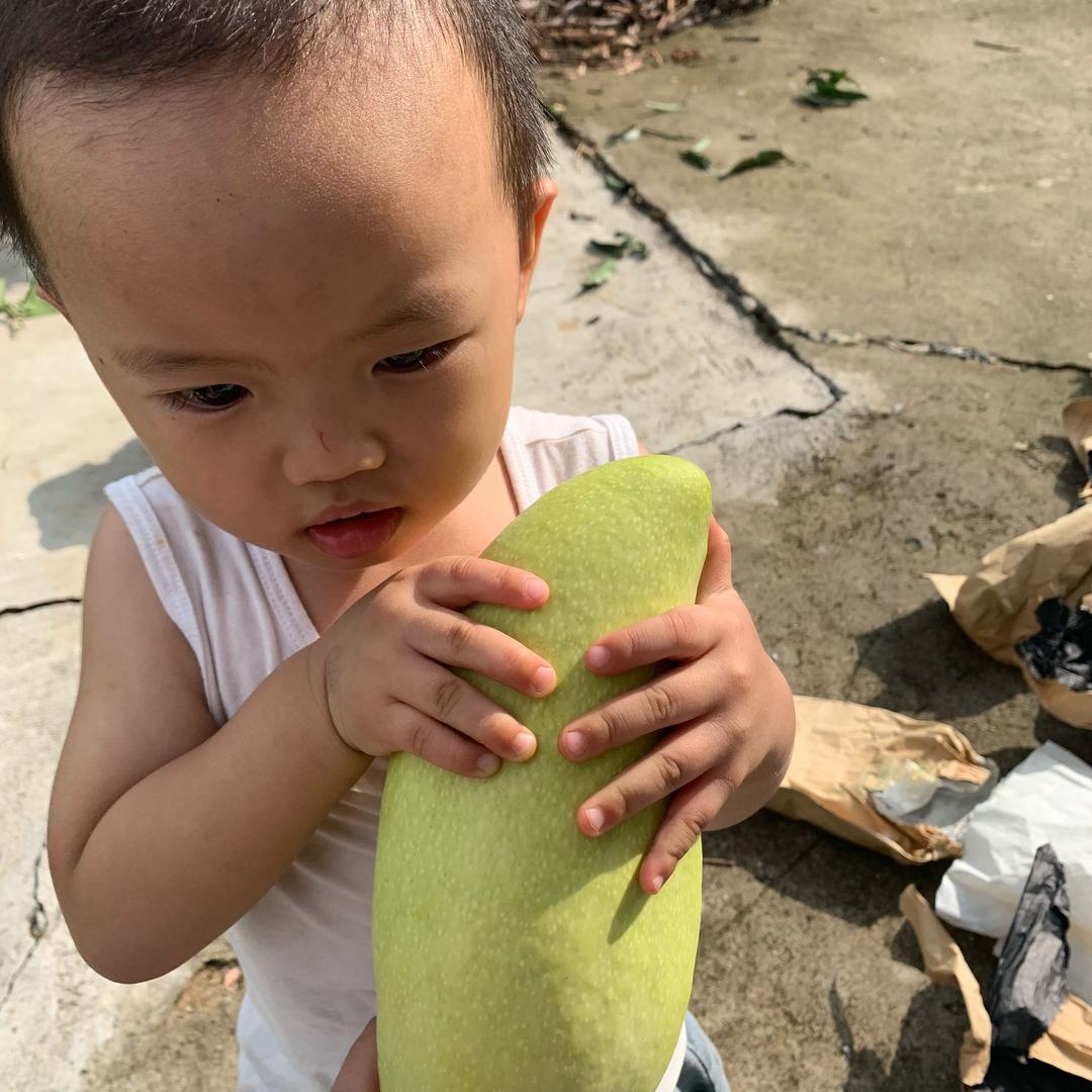 果巅果蔬旗舰店