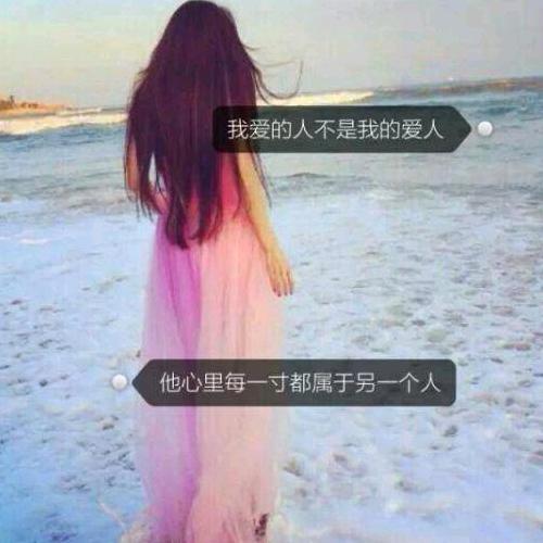 枯萎的玫瑰！！拒私信！