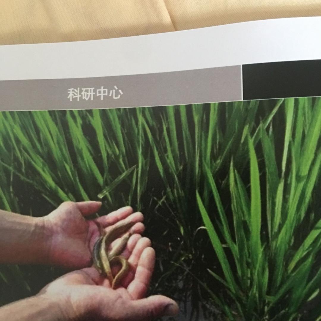 开心快乐