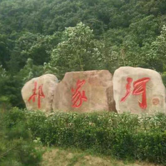 一生有你足矣