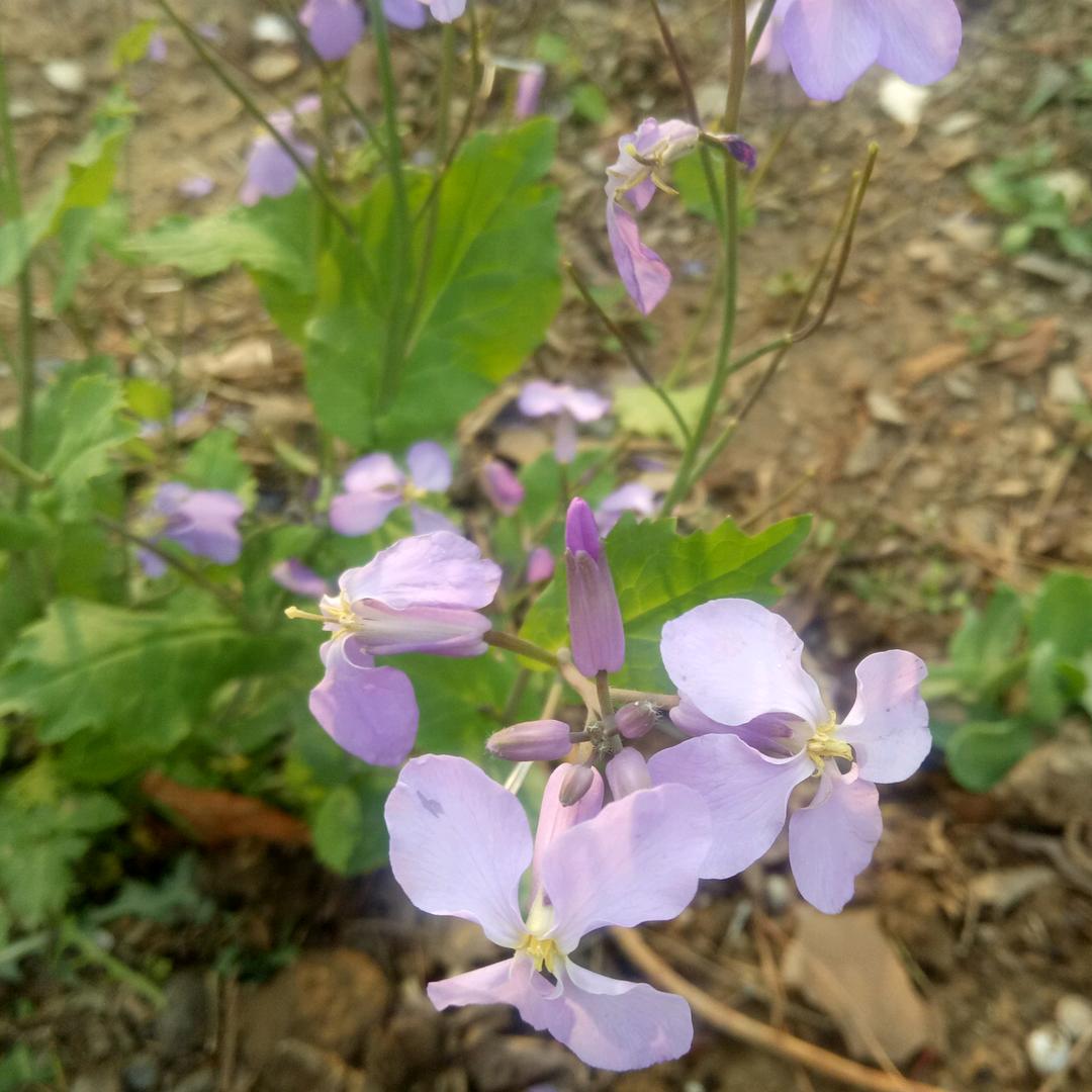 我就是爱吃面食，咋滴啦🤨