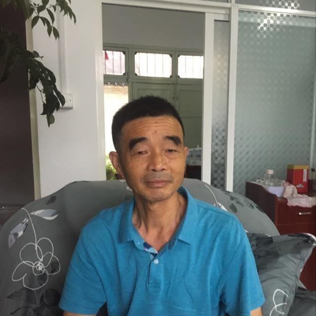 金叶水杉