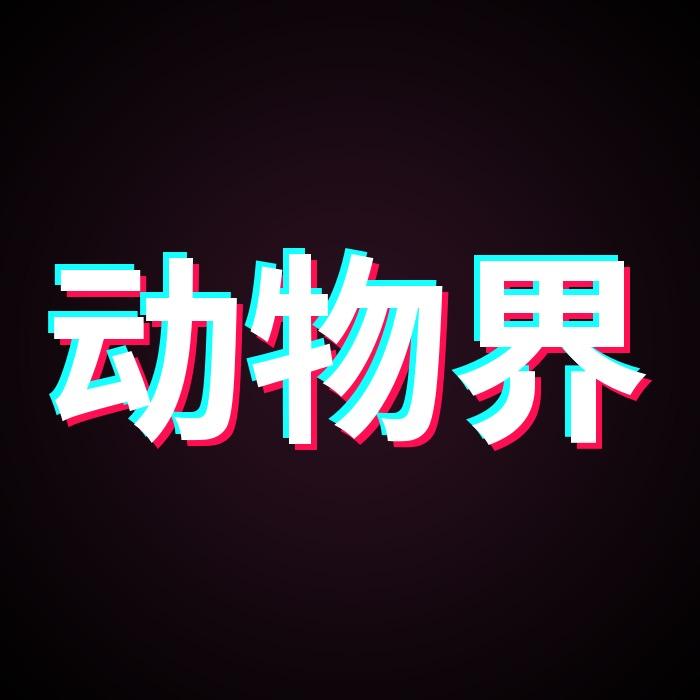 动物界