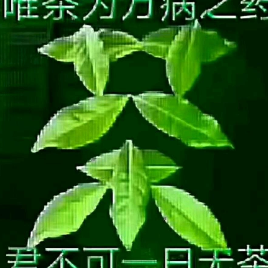 日照平稼村茶业