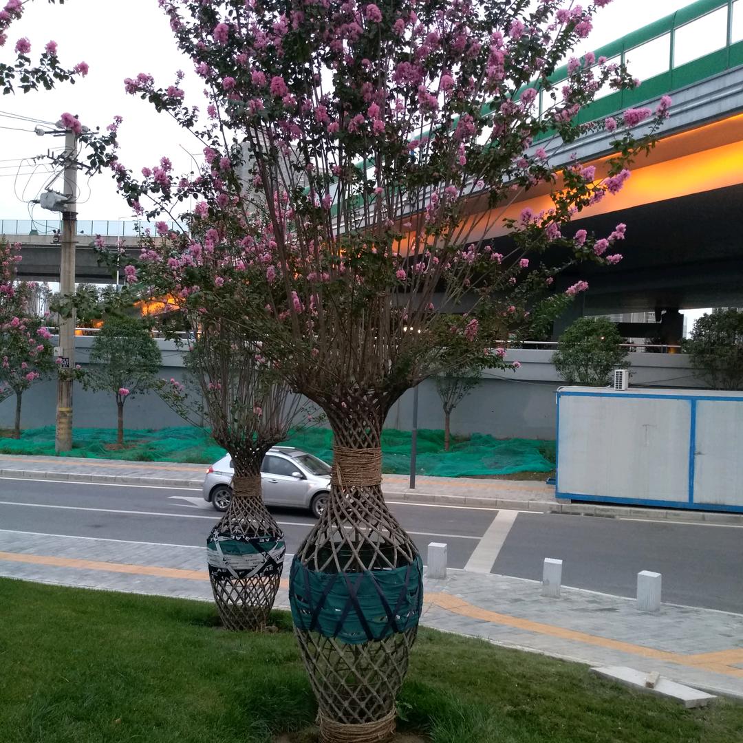 周德喜