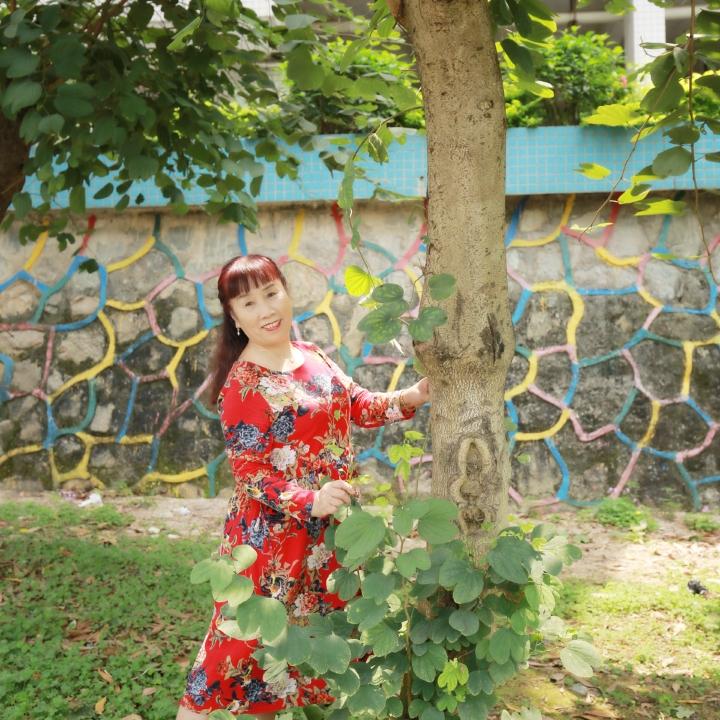 继红