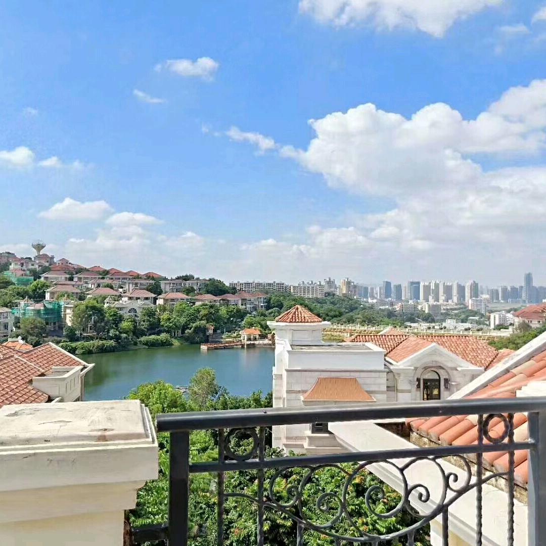 卖宝珊的林圳彬