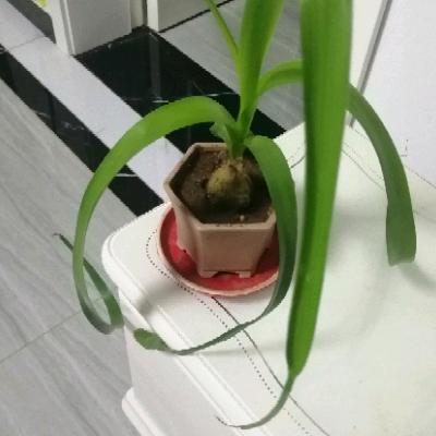 今非昔比1969031719671203