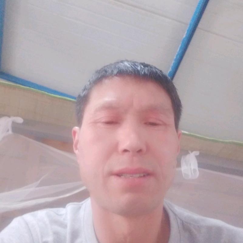 胜哥