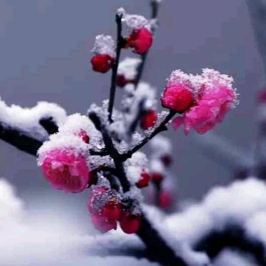 百年好合流动包桌，