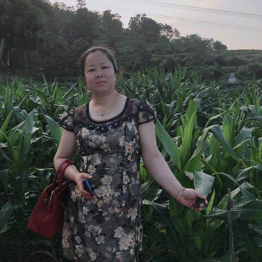 美丽的樱花