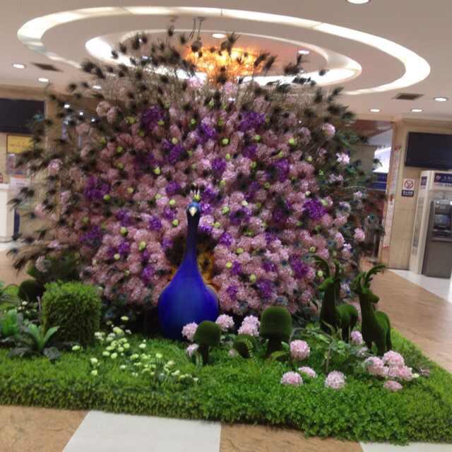 紫瞳