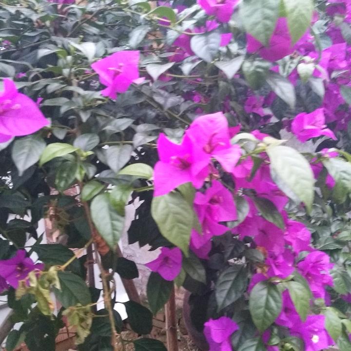 有缘千里来相会