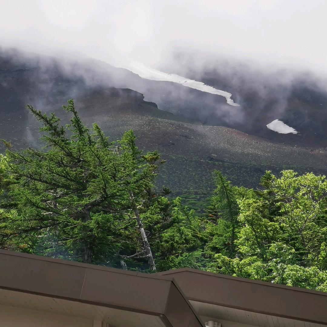 美丽风景
