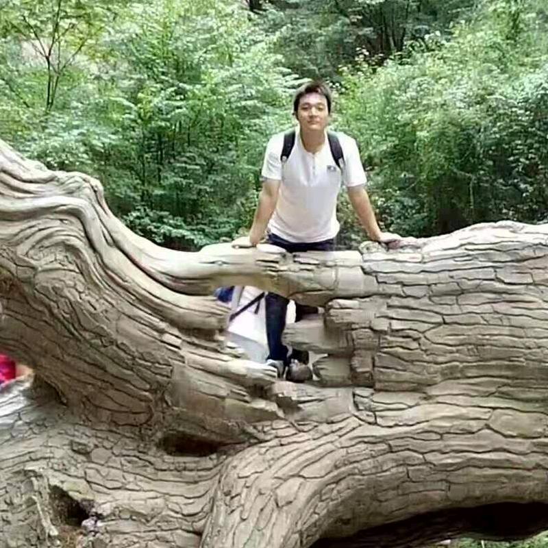 龙飞