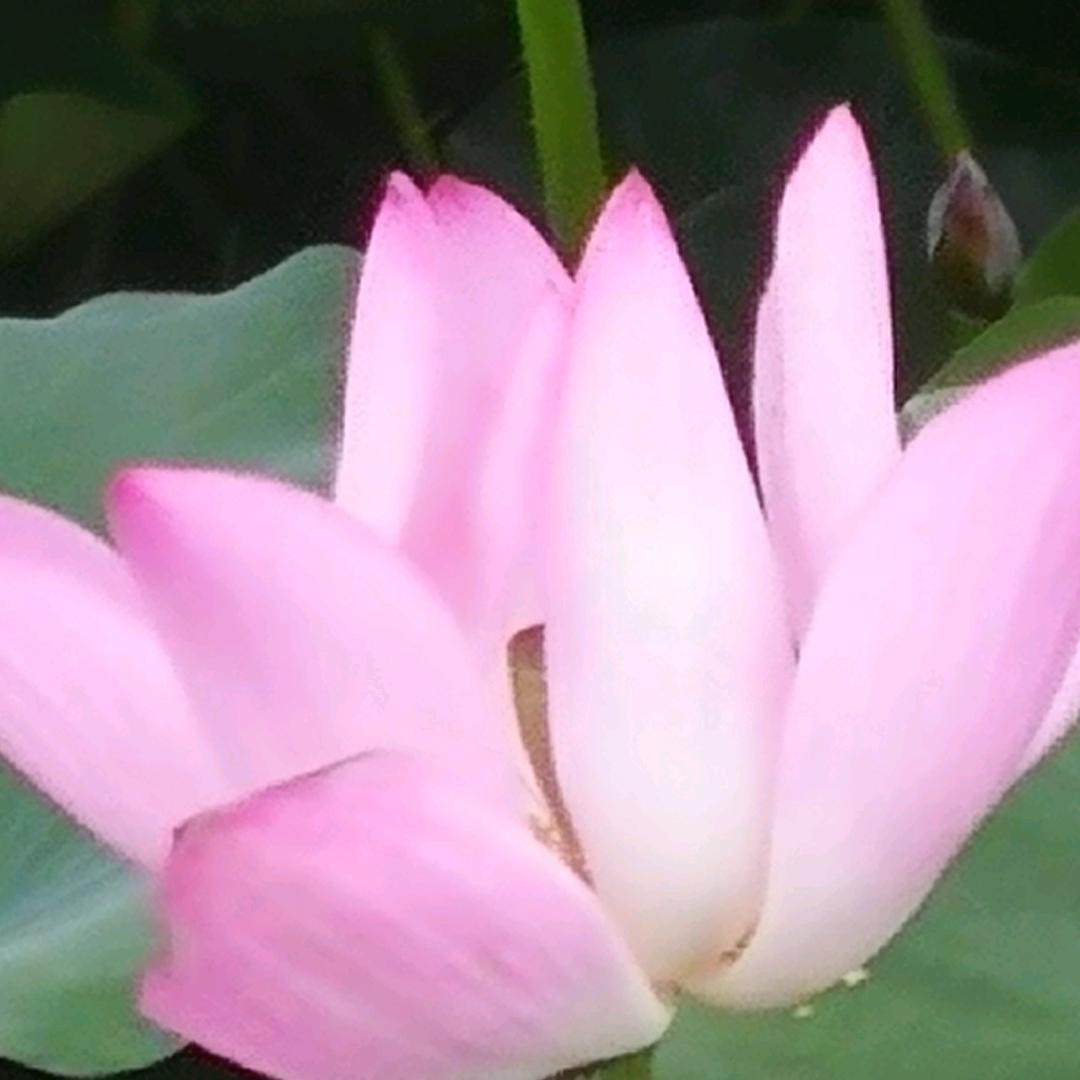嗯嗯