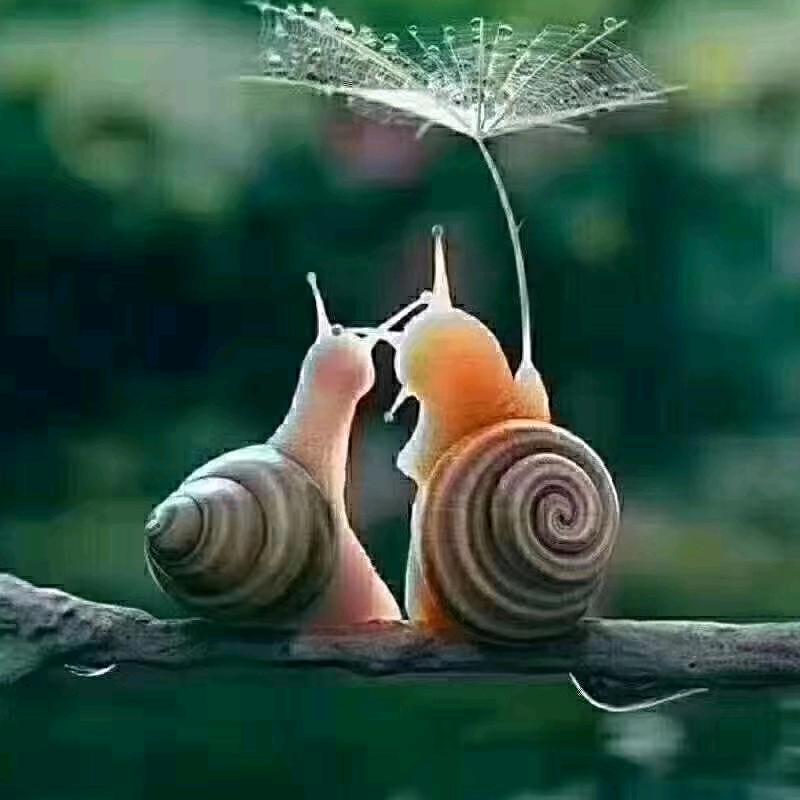 沫沫