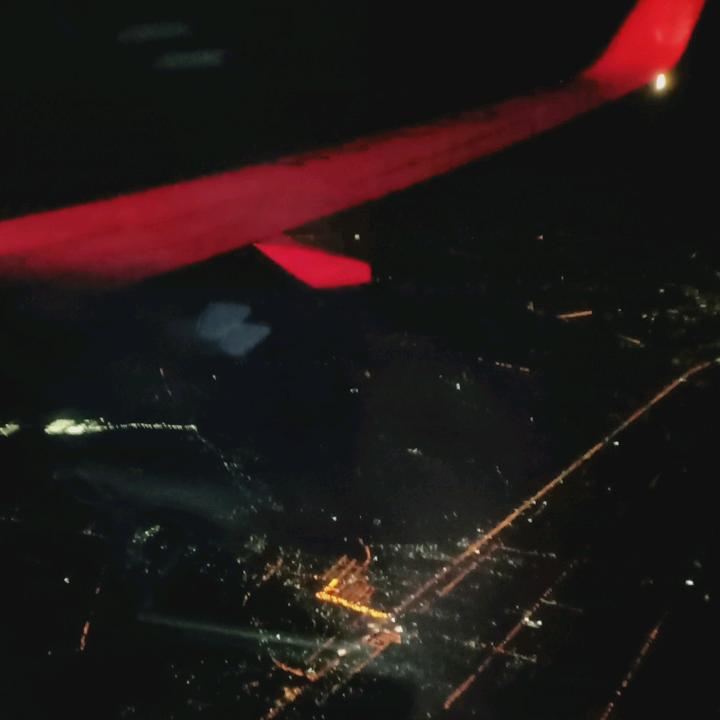 熊大大_  .