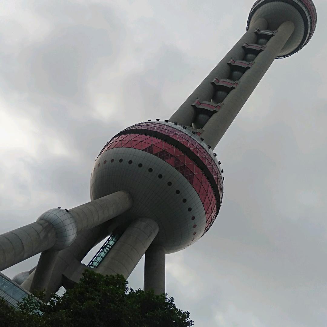 小燕子