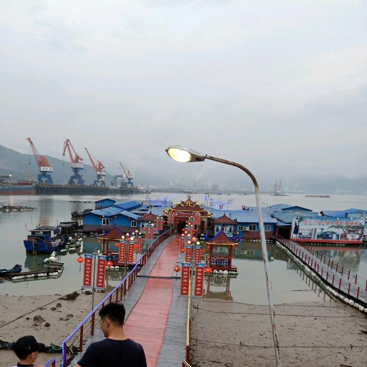 森森大海