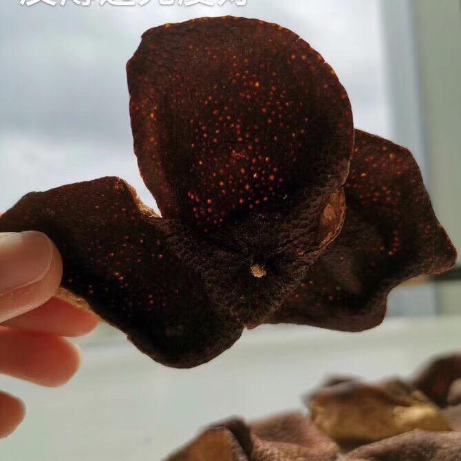 陈皮话事吉之柑