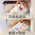 怜心名鼎小助手