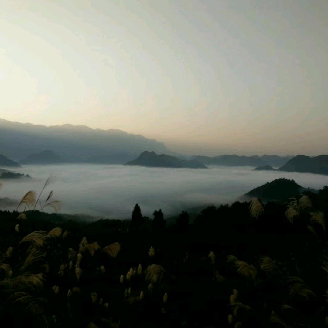 傲慢