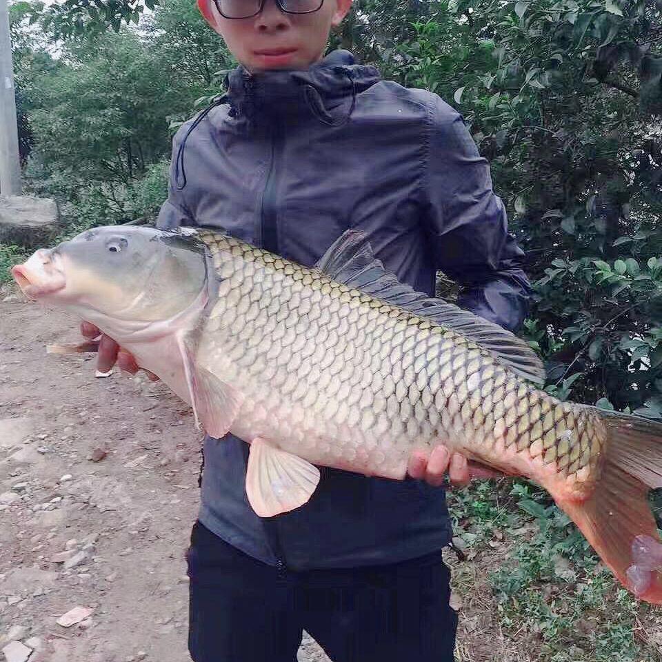 阿旋户外钓鱼