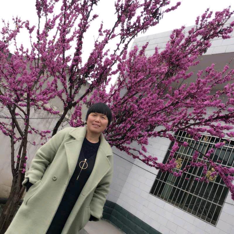 白香兰