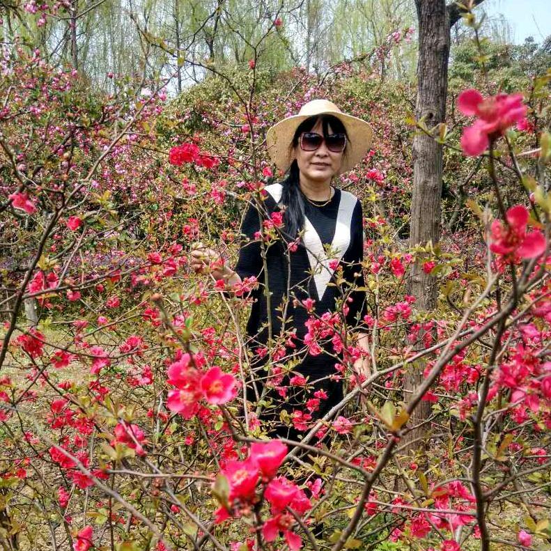 勇闯天涯