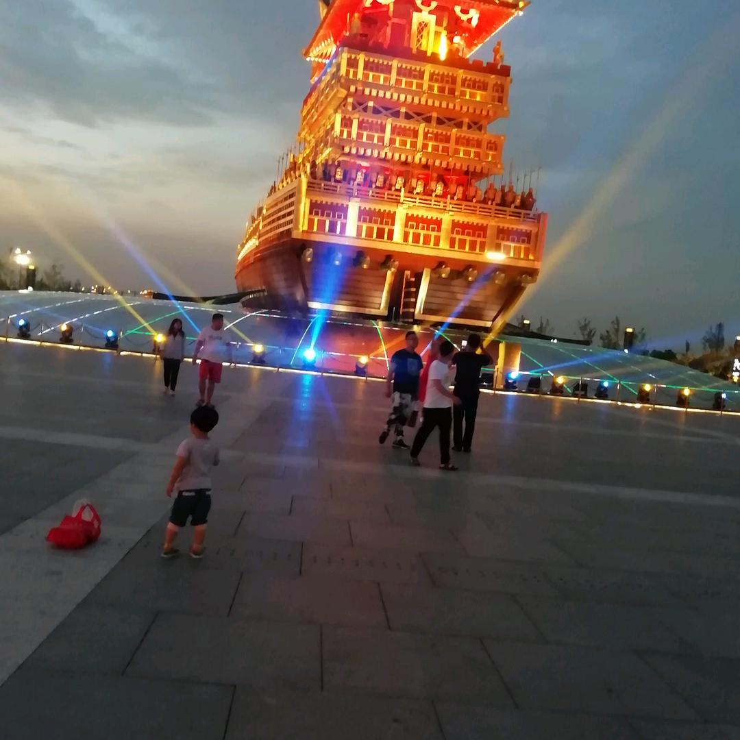 胖胖大海豚