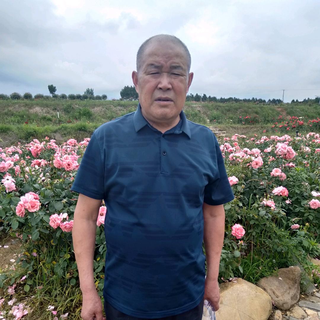 杨大哥