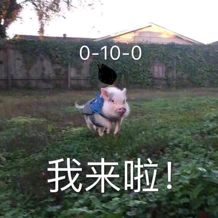 吾所成之事