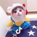 矮冷!