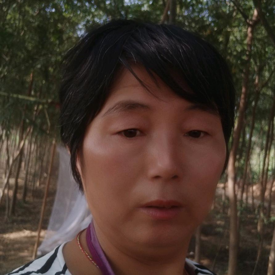 诺宝奶奶👵