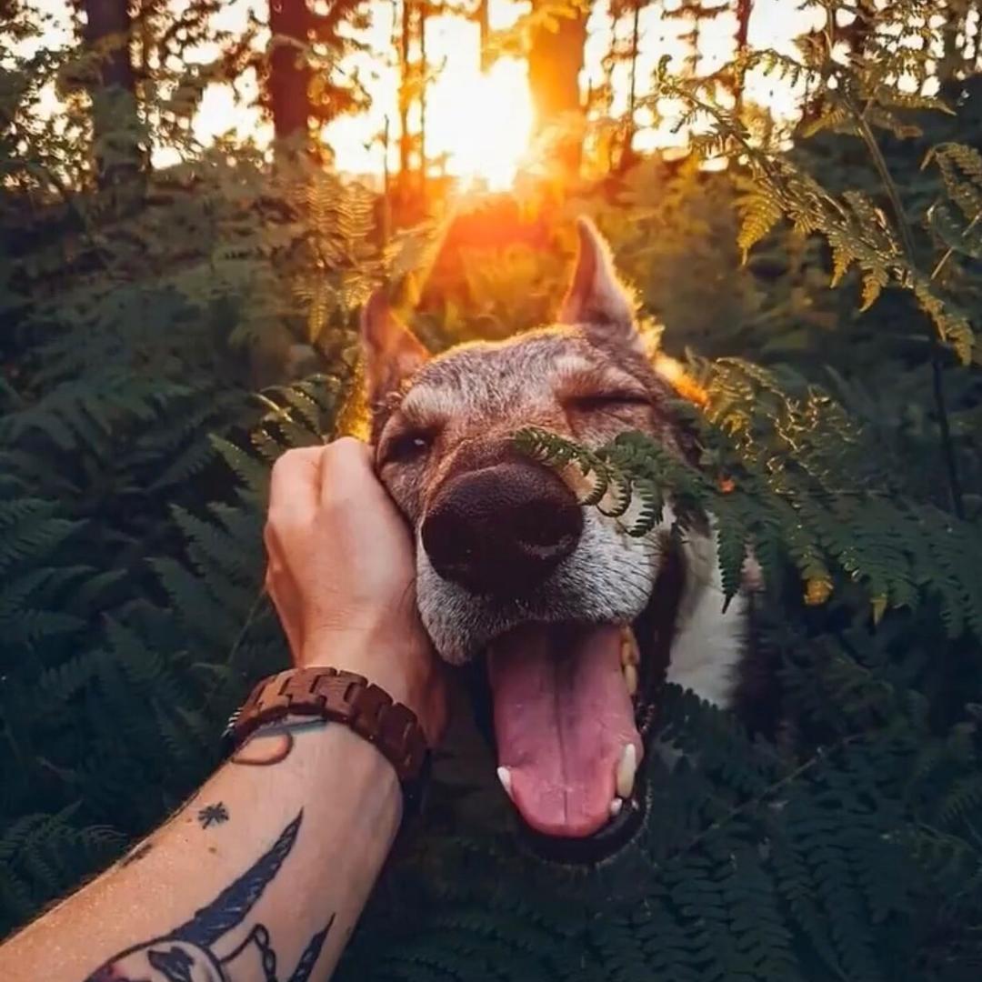 😈