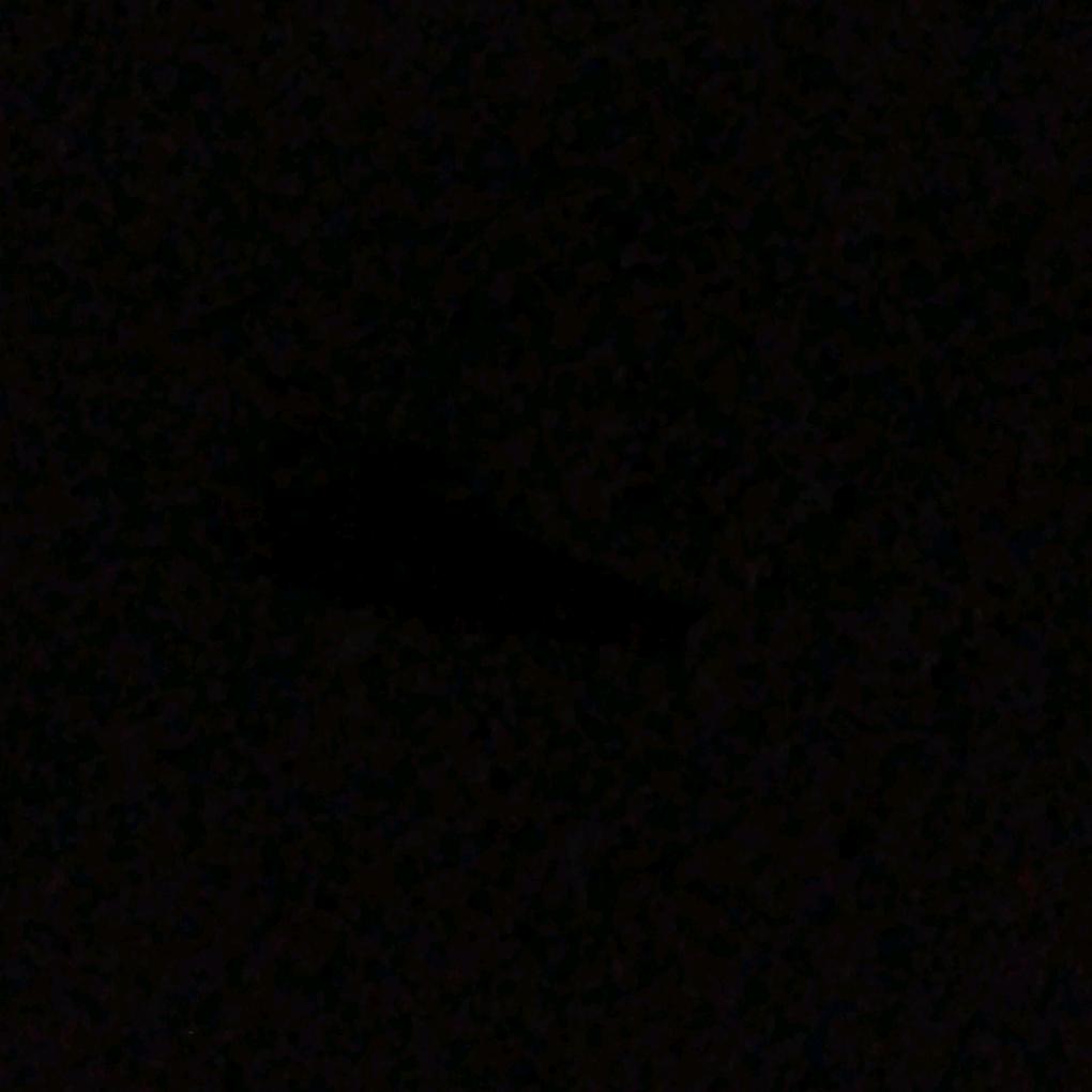 波特兰小铁匠