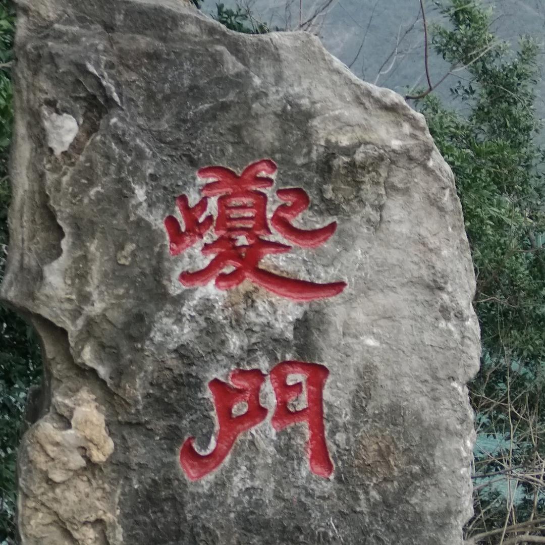 校校先生