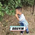 咸菜黄鱼汤
