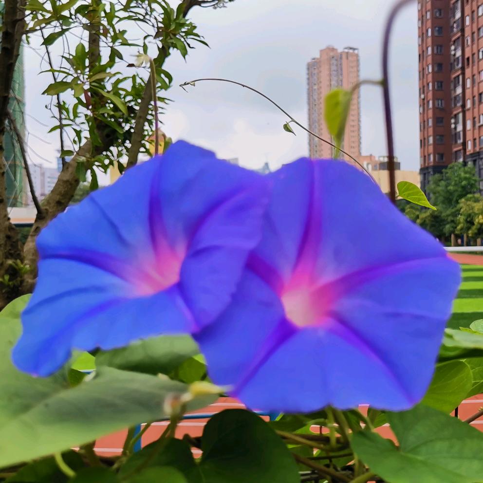 顺势为王💦💦🌈