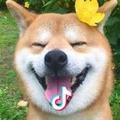森→_→🍓🍓🍓