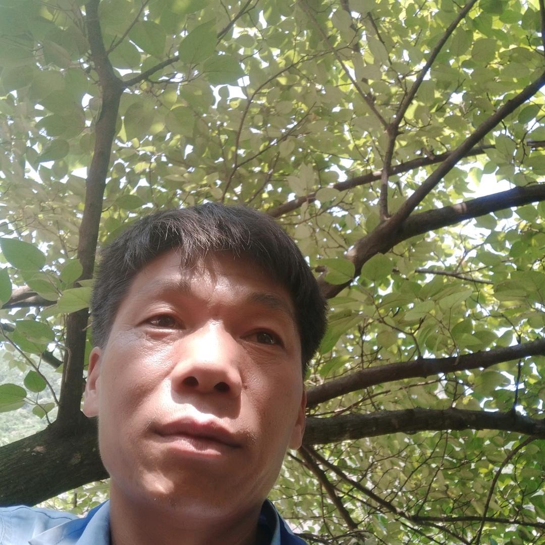 月下星辰